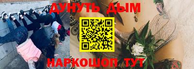 сатива Гусиноозёрск