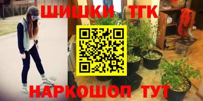 сатива Гусиноозёрск