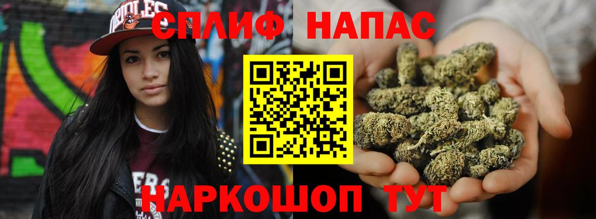 Бошки марихуана тримм  Вход с VPN  Каннабис план  Канабис план  Марихуана планчик  Клин 
